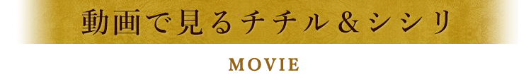 動画で見るチチル&シシリ MOVIE